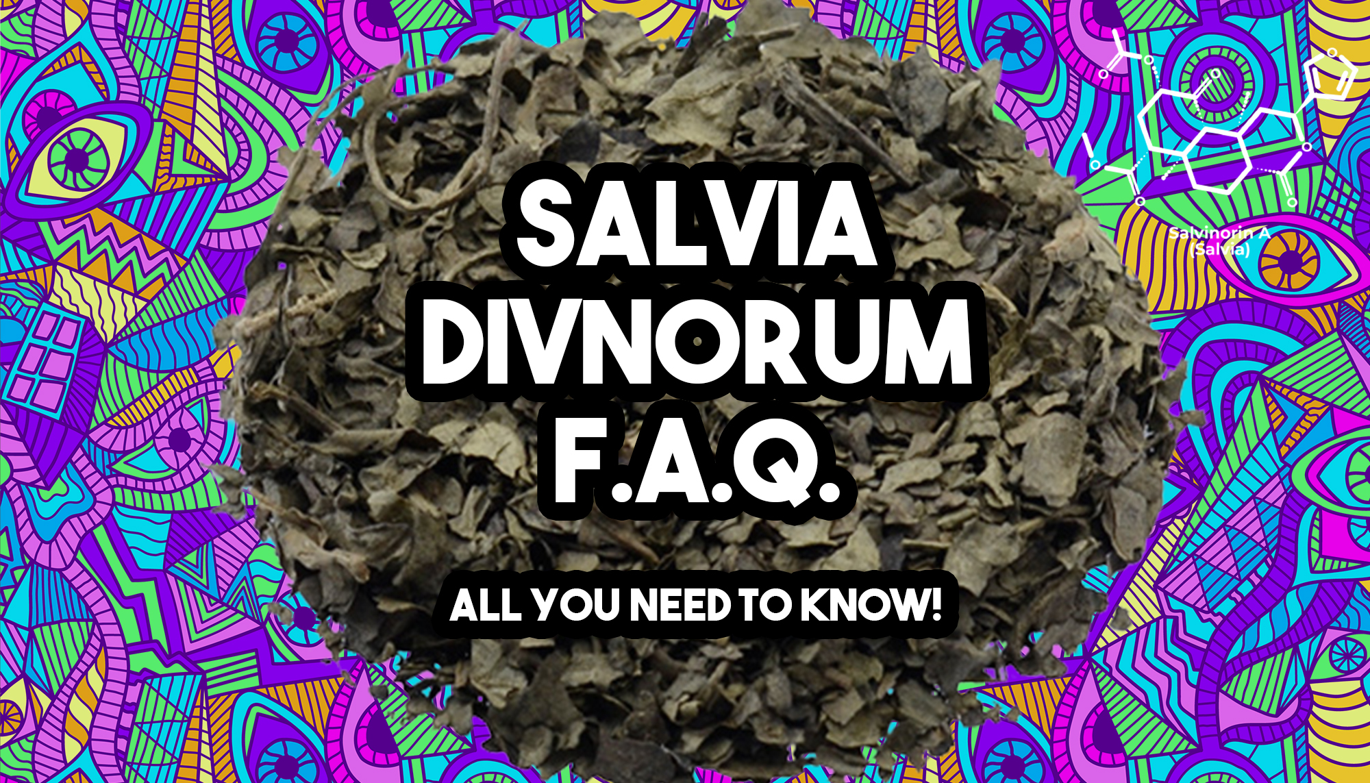 De Ultieme Salvia Divinorum FAQ