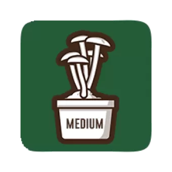 Standaard paddo growkits