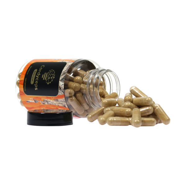 Cordyceps extract capsules – 120 stuks