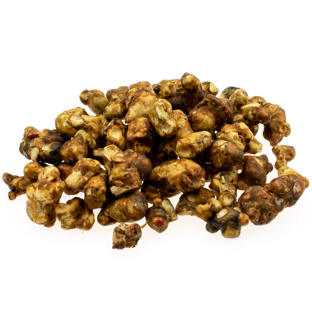 Psilocybe Pajaritos 15 gram - Magic Truffles