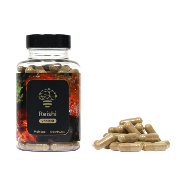 Reishi extract capsules – 120 stuks
