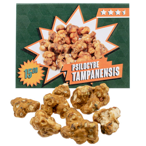 Tampanensis 15 gram - Magic Truffles