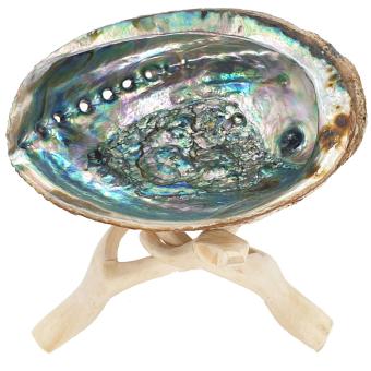 images/productimages/small/abalone-smudge-schelp-salie.jpg