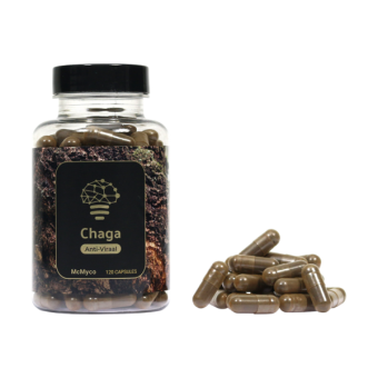 Chaga extract capsules – 120 stuks