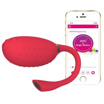 images/productimages/small/magic-motion-draagbare-vibrator.jpg