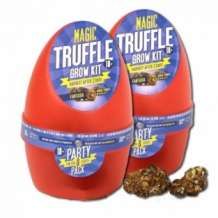 images/productimages/small/magic-truffles-grow-kit-fantasia-special-growbox.jpg