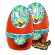 images/productimages/small/magic-truffles-grow-kit-mexicana-growbox.jpg