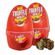 images/productimages/small/magic-truffles-grow-kit-pandora-special-growbox.jpg