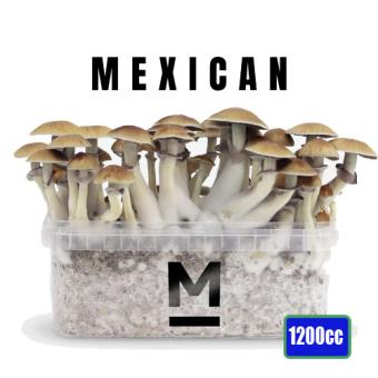 images/productimages/small/mexican-mex-magic-mushroom-growkit-1200cc-medium.jpg