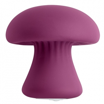 images/productimages/small/mushroom-massager-purple.jpg