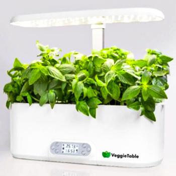 images/productimages/small/veggietable-indoor-garden-binnen-moestuin.jpg