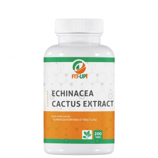 Echinacea extract 500 mg - 200 capsules