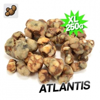 Bulk truffles - 250 gram - Magic Truffles
