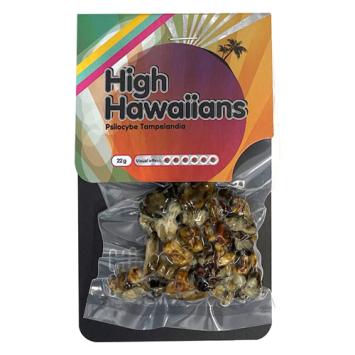 High Hawaiians 22 gram - magic truffles