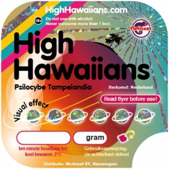 High Hawaiians 22 gram - magic truffles