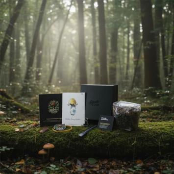 Golden Teacher Growkit – Royale Flush