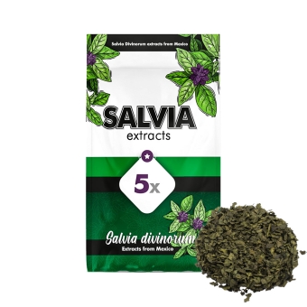 Salvia Divinorum 5X - 1g extract