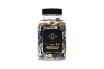 Turkey Tail extract capsules – 120 stuks