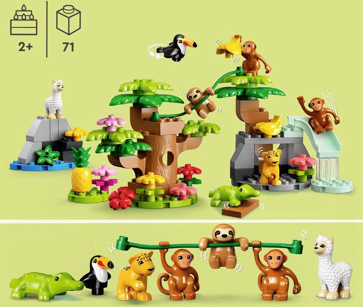 LEGO DUPLO Wilde dieren van Zuid-Amerika - 10973