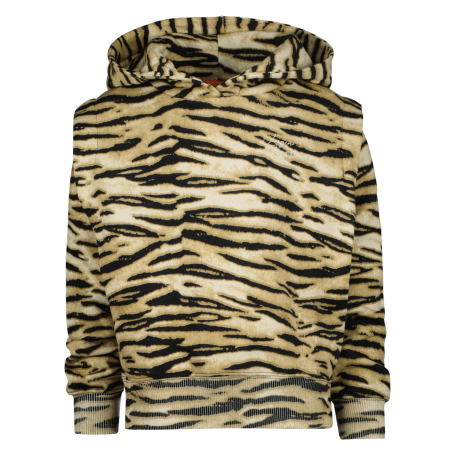 images/productimages/small/aw22kgn34011-nivia-mud-sand-front.png