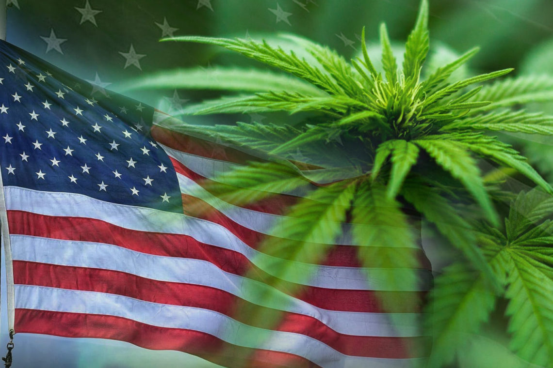 cannabis amerika