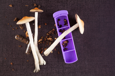 5 facts about magic mushrooms and truffles.