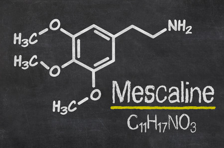 What are the differences between mescaline cacti