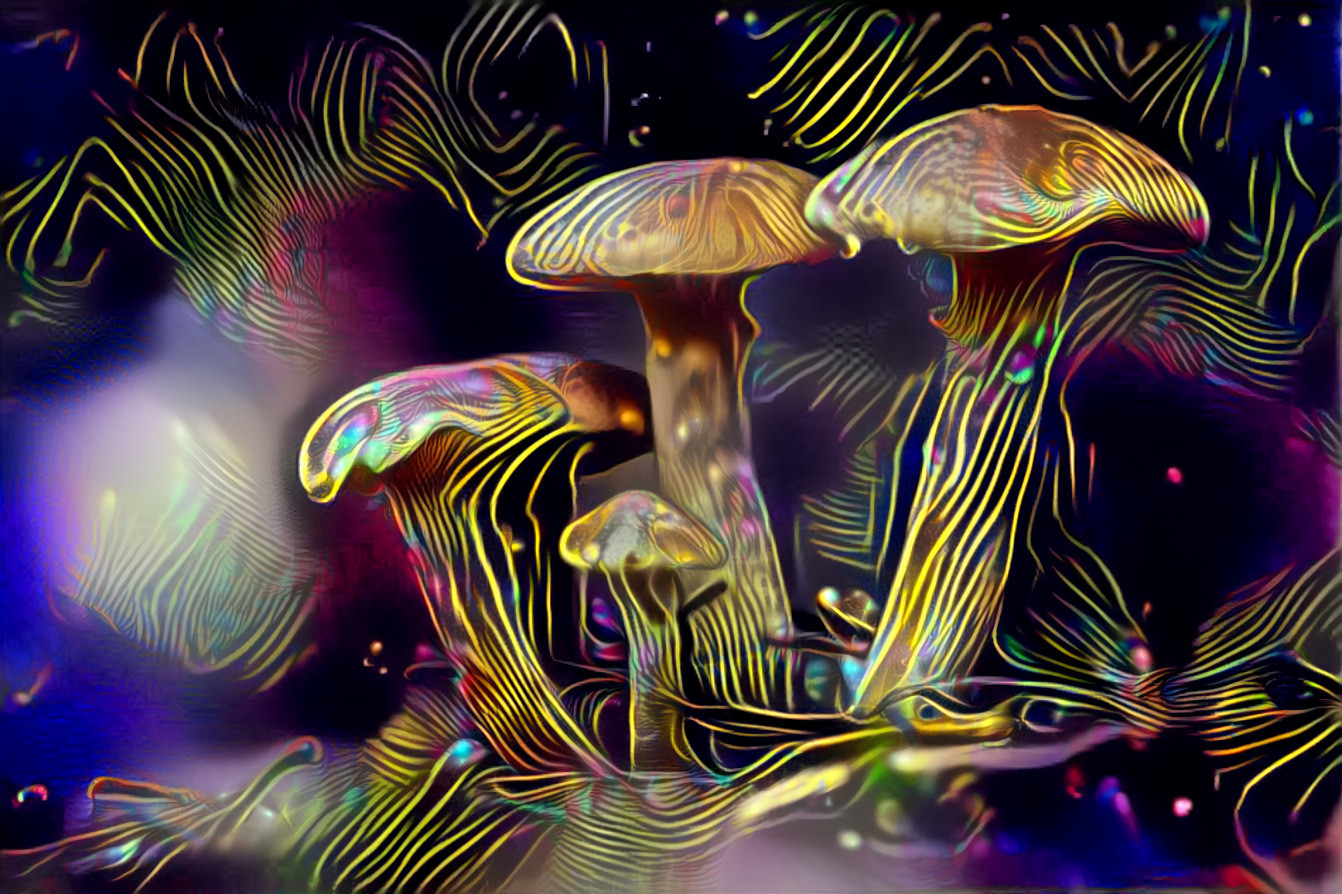 mushrooms depression