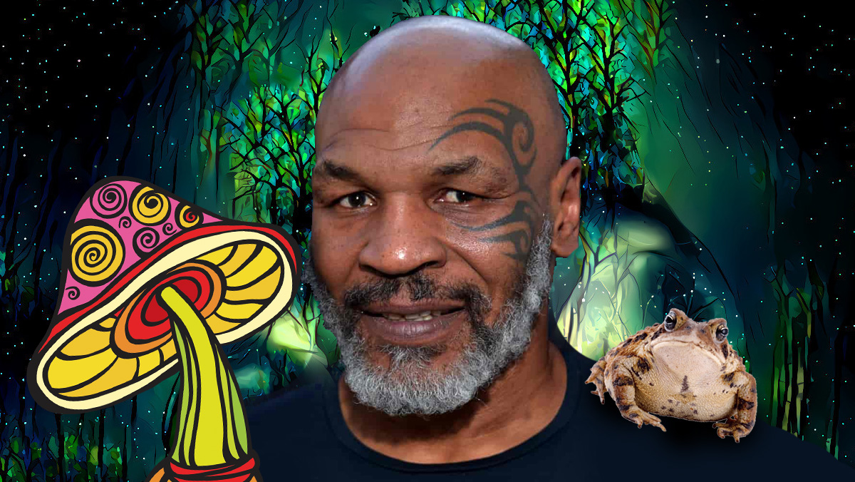 psychedelics mike tyson dmt