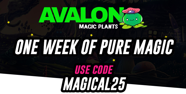 One week of magic! 25% OFF on some amazing products