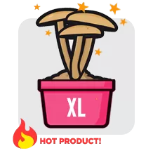 XL mushroom grow kit