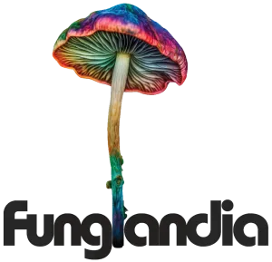 Funglandia Magic Mushrooms