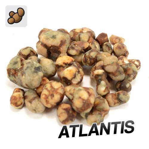 Trufas Atlantis (15 gramos)