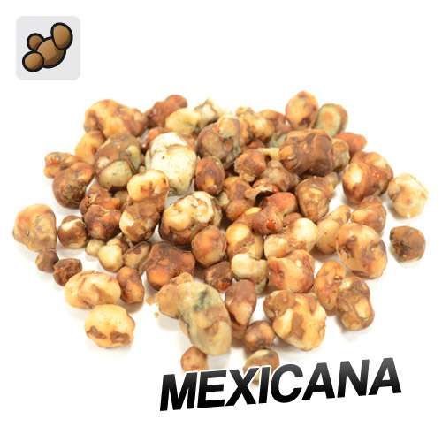 Sclerotia Mexicana A (15 gram)