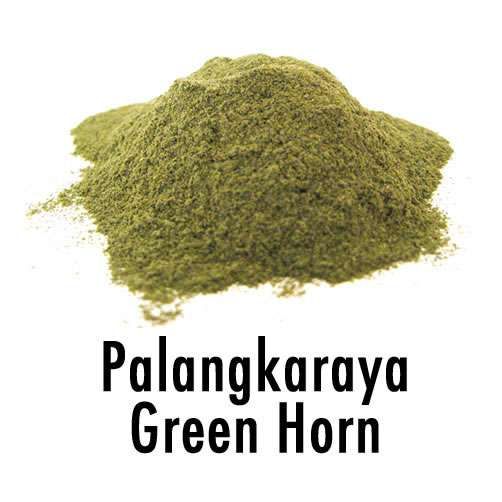 Palangkaraya Green Horn - Kratom (Mitragyna Speciosa)
