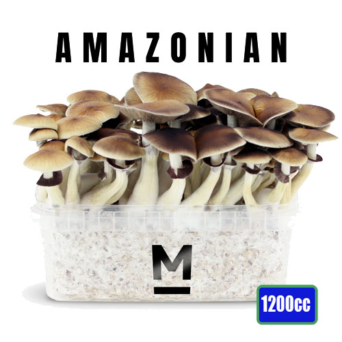 Pes Amazonian boîte de culture - 1200cc
