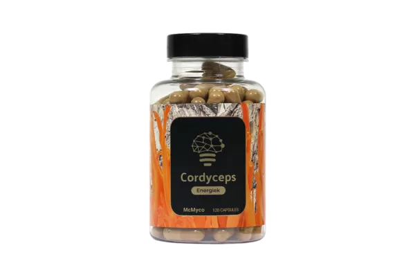 Cordyceps extract capsules - 120 caps