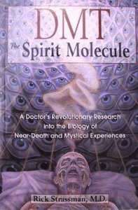 DMT - The Spirit Molecule
