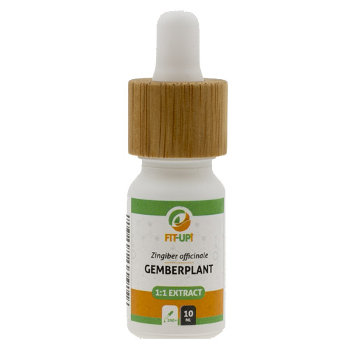 Zingiber officinale 1:1 extract - Gemberplant