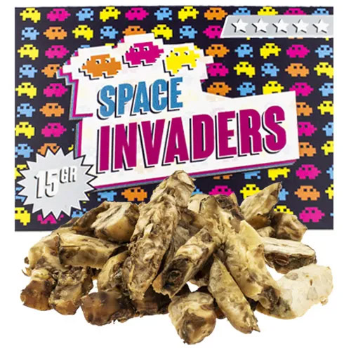 Space Invaders 15 gram - Magic Truffles