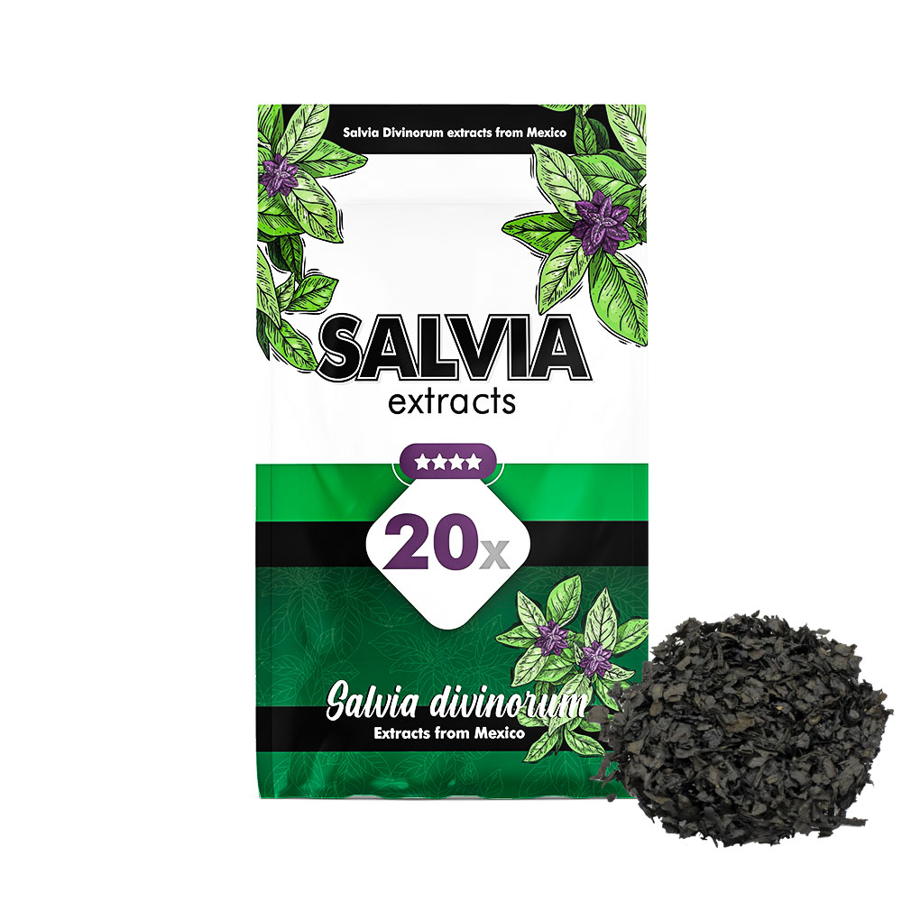 Salvia Divinorum 20X extrait