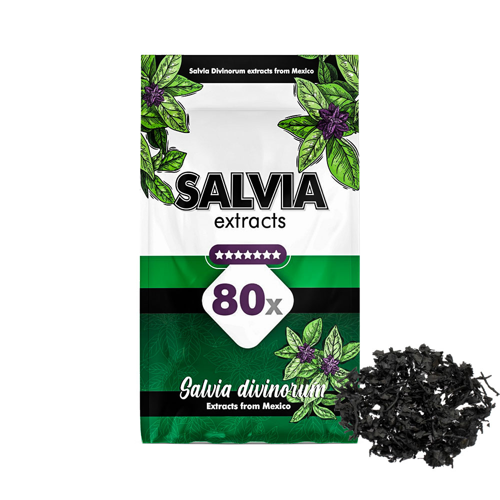 Salvia Divinorum 80X extrait