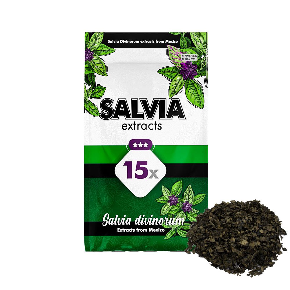 Salvia Divinorum 15X extrait