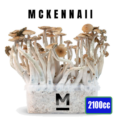 Kit de cultivo XL McKennaii - 2100 ML