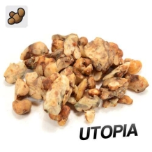 Psilocybe Utopia 15 gram