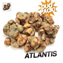 images/productimages/small/atlantis-magic-truffles-duo-pack.jpg