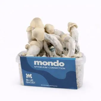 Blue Ghost 1200cc grow kit by Mondo, box with the M logo