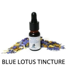 images/productimages/small/blue_lotus_tincture_15x.jpg