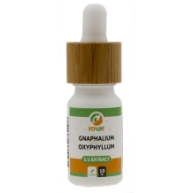 images/productimages/small/gnaphalium-oxyphyllum-extract.jpg