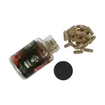 Reishi extract capsules - 120 caps